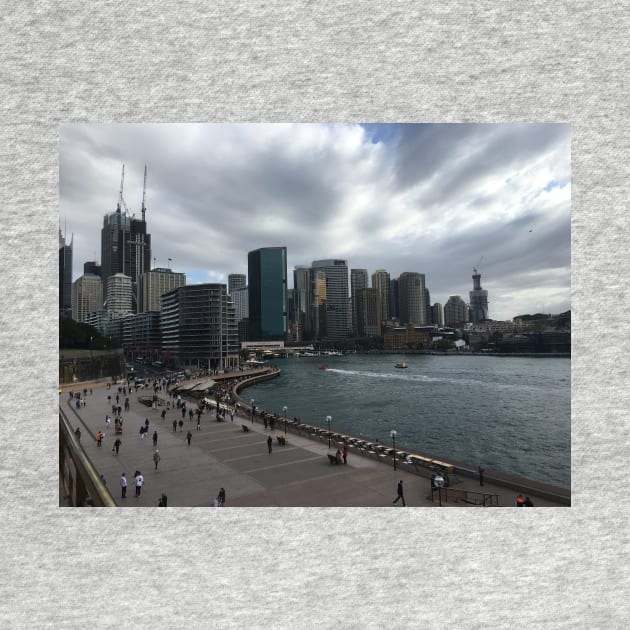 Sydney Harbor under an overcast sky by Dturner29